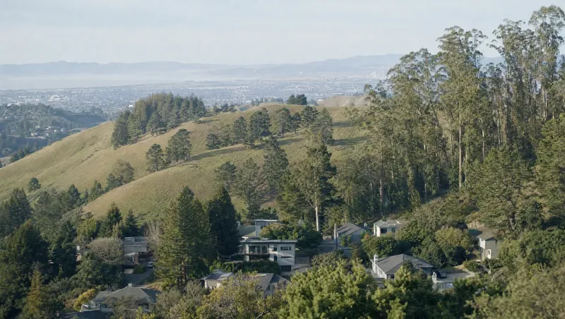 Alameda County, California: Eucalyptus and pine groves above hillside homes; grassy ridge; hazy view in the distance