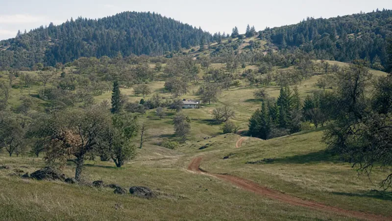 Calaveras County, California: Blue oak and gray pine hills; red-dirt road to a ranch house; pine forest on higher hills