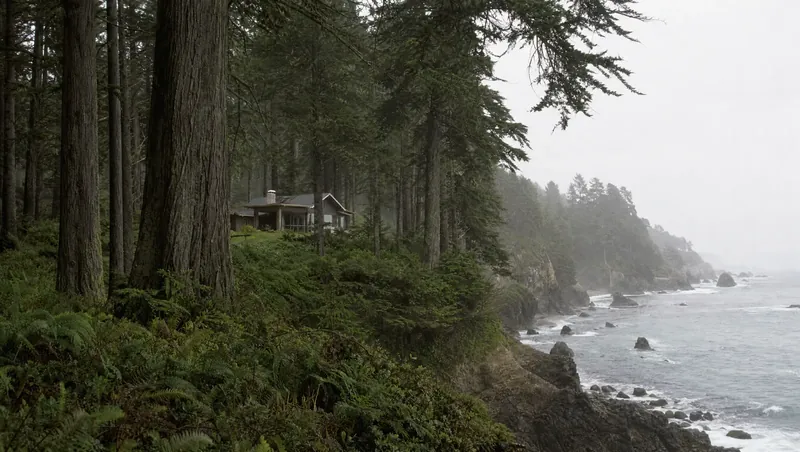 Del Norte County, California: Giant redwoods and ferns near a rocky coast; home in a clearing; soft mist