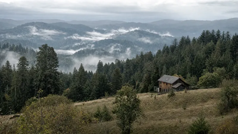Humboldt County, California: Redwood/fir forest ridge; rural wooden house in a grassy clearing; mist in valleys