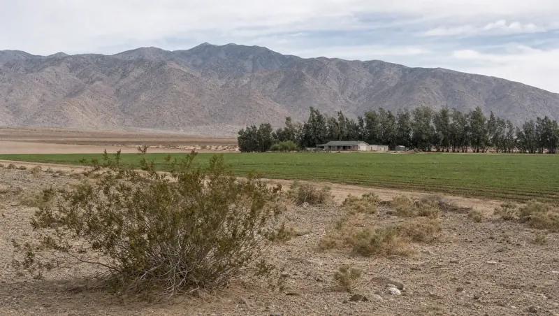 Imperial County, California: Creosote desert at the edge of irrigated fields; ranch house with tamarisk windbreak; bare mountains