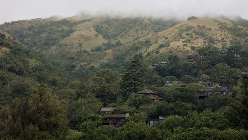 Marin County, California: Grassy ridges with oak/bay laurel in ravines, fog on the ridge; wood-shingled homes set into a wooded hillside