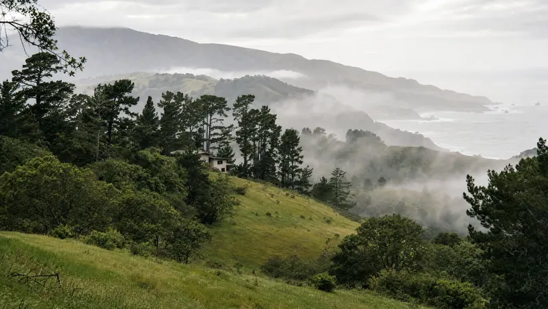 Monterey County, California: Pine and live-oak coastal hills, grassy slopes, soft fog; house among the pines