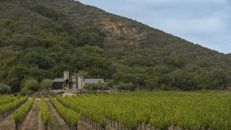 Napa County, California: Vineyard rows on the valley floor, steep oak/chaparral hillsides; stone-and-wood home at the vineyard edge