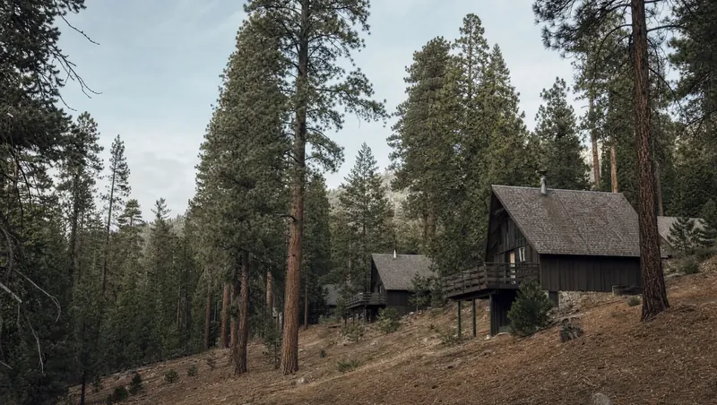 San Bernardino County, California: High mountain pine/cedar forest; wooden cabins with steep roofs on a slope, needles raked from around them