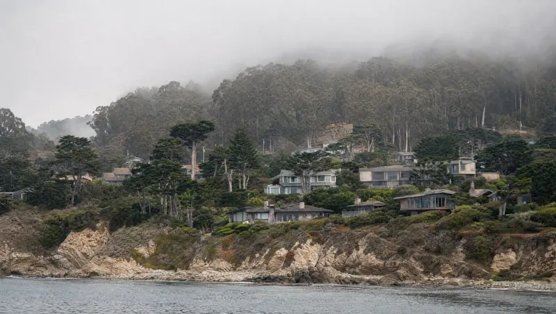 San Francisco County, California: Foggy hillside with eucalyptus and cypress groves above rows of houses; coastal scrub