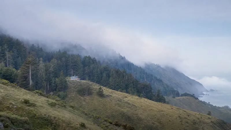 San Mateo County, California: Fir/redwood ridge with fog spilling over; house among trees above grassy slopes