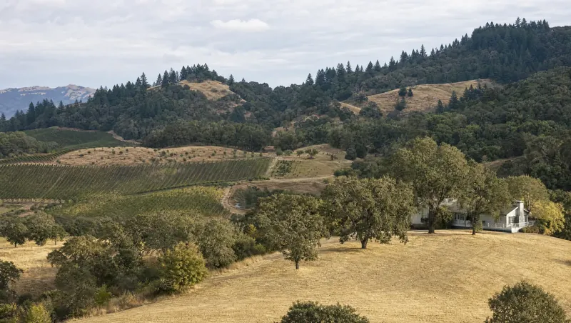 Sonoma County, California: Oak-dotted hills, vineyard rows in the valley, firs on ridges; farmhouse among oaks with mowed grass