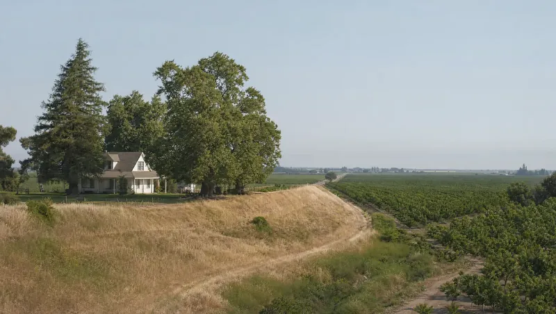 Sutter County, California: Flat farmland, walnut orchards and a dry grassy levee; farmhouse with tall shade trees