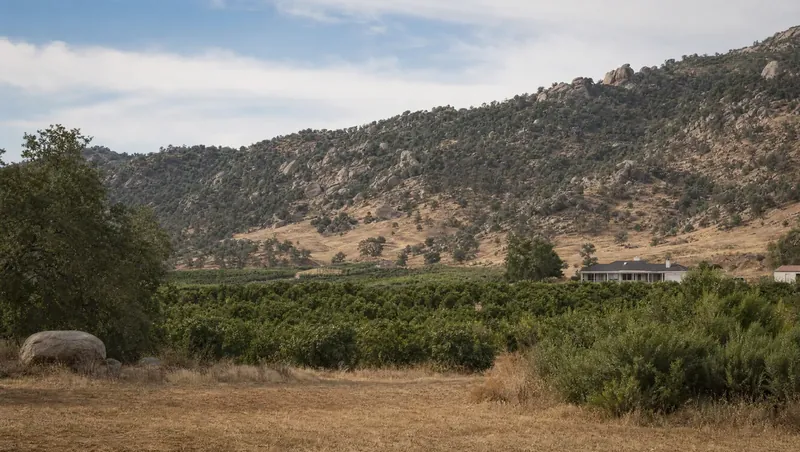 Tulare County, California: Oak and granite-boulder foothills above citrus orchards; ranch home at the orchard edge