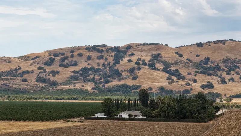 Yolo County, California: Oak-dotted dry foothills next to flat farmland and orchards; farmhouse with windbreak trees