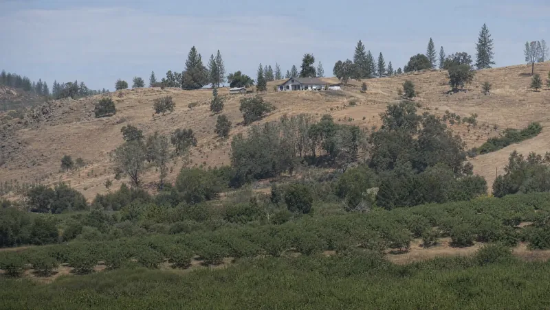 Yuba County, California: Oak and pine foothills with dry grass; ranch home on a rise; orchards on the valley floor