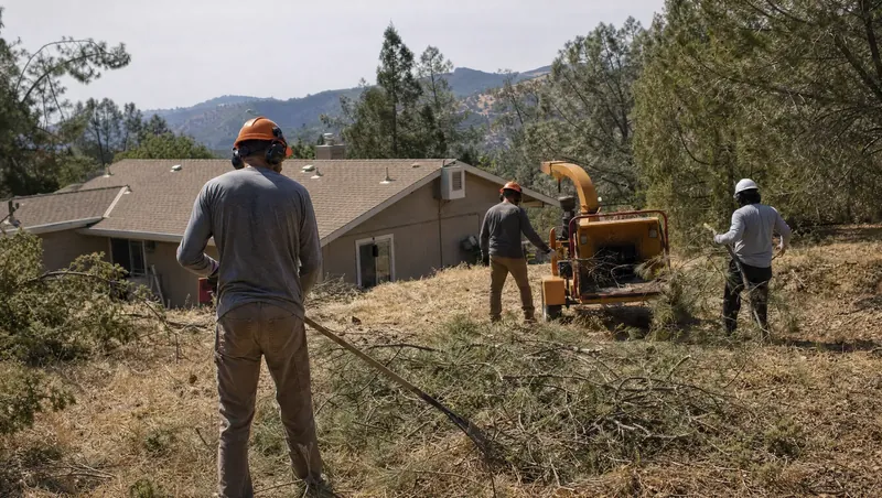 A crew clearing brush beside a foothill home